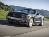 2015 Ford Mustang Cabrio (c) Ford